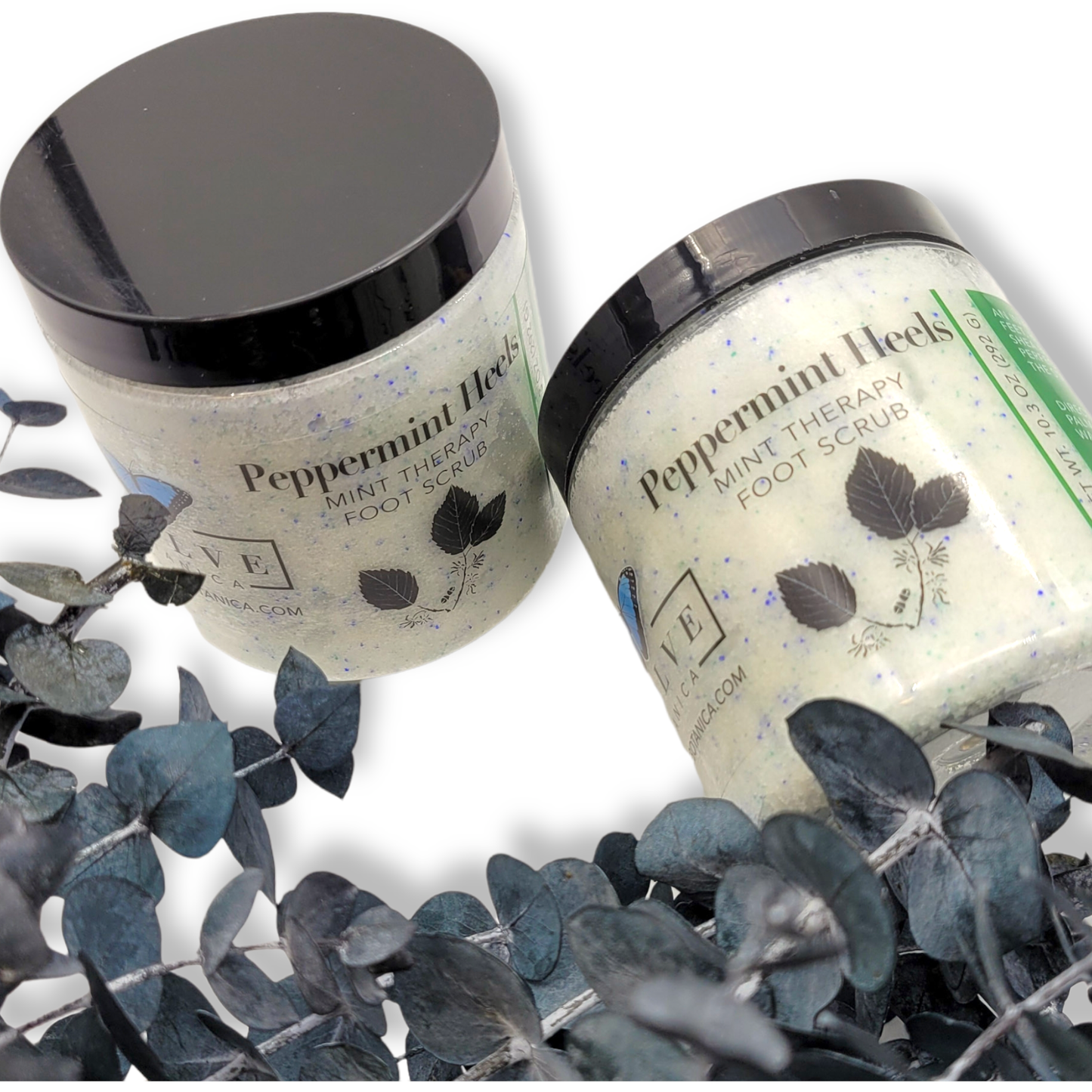 Evolve Botanica - Peppermint Heels Mint Therapy Foot Scrub