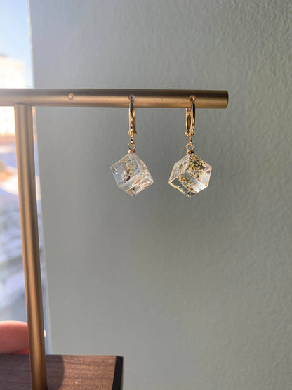 Unique Preserved Dandelion Cube Earrings